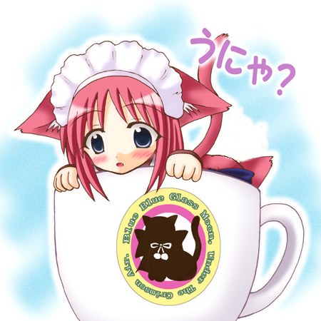 coffeecat.jpg
