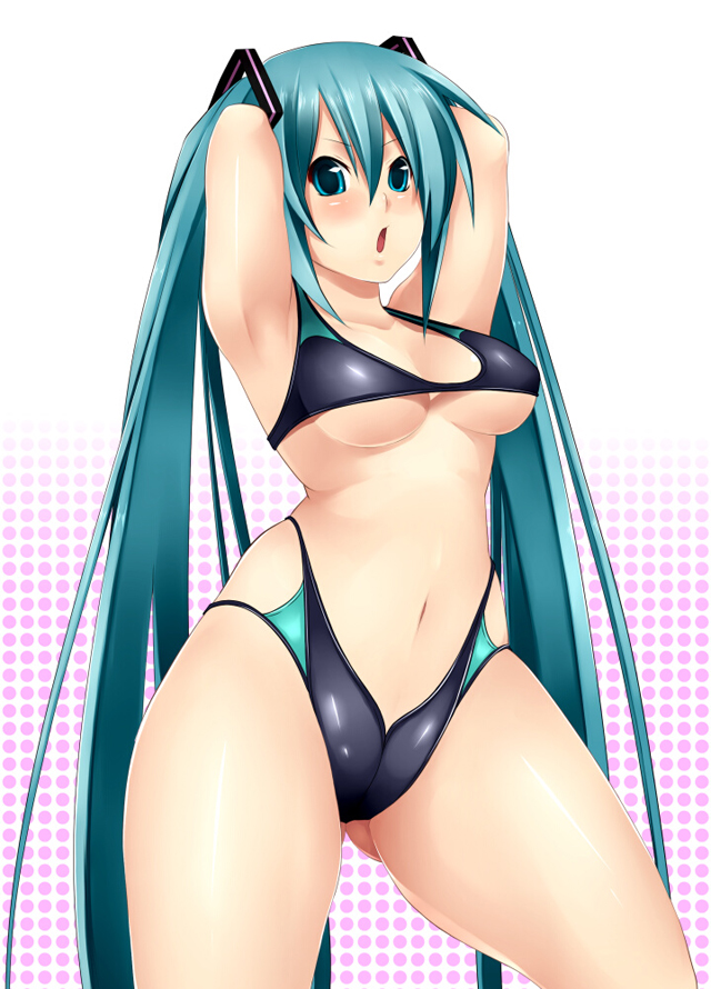 miku4.jpg