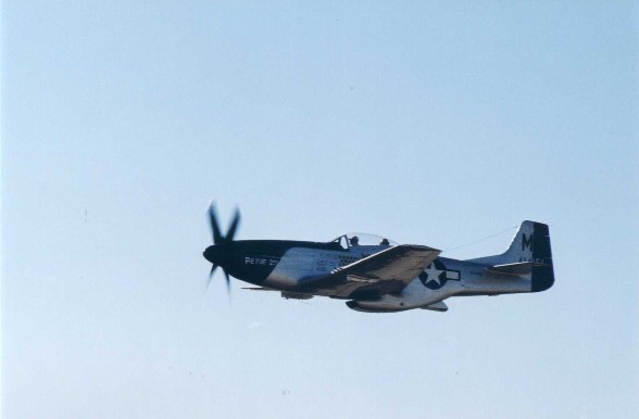 P51side1S.jpg